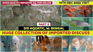 Imported Discus Huge Collection | SID Aquatic, W.B.| Galiff Street Market Fish Seller |14th Dec 2022