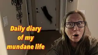 The cat can jump! Daily vlog of my mundane life. Tucson, Arizona. 