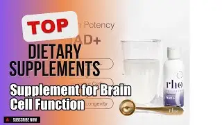 Top 3 Dietary Supplements about Supplement for Brain Cell Function Finest of All Time