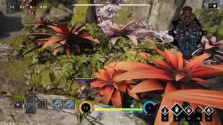 First game as the Fey - Paragon