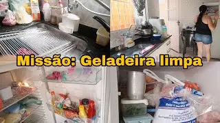 Geladeira limpa,mente tranquila 🙌