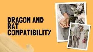 Dragon and rat compatibility chinese zodiac