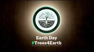 International Mother Earth Day: What&rsquo;s At The Root Of #Trees4Earth?