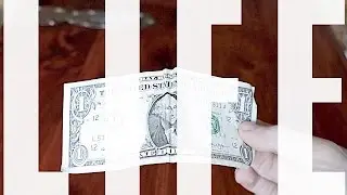 Optical Illusions - LIFE in 2 minutes