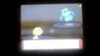 Platinum Pokemon Wifi battle 17