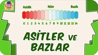 Asitler ve Bazlar / Püf Noktaları ile Detaylı Anlatım 🧪 8.Sınıf Fen #2023LGS