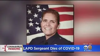 LAPD Hollenbeck Division Sgt. Amelia 'Terry' Martinez Dies From COVID-19 Complications