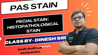 PAS Stain Special Stain | Histopathological Stain