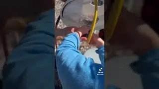 Air Compressor Rocket Experiment #dadstuff #funkidsactivities #easyexperiments #scienceproject