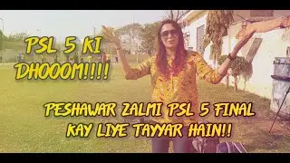 PESHAWAR ZALMI PSL 5 FINAL KAY LIYE TAYYAR HAIN | PSL 5 KI DHOOM | PSL DIARIES