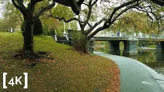 [4K] Walk After Rain | Boston Garden | Binaural City Sounds