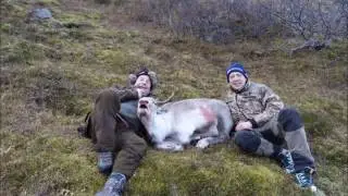 Hunting Caribou in Iceland