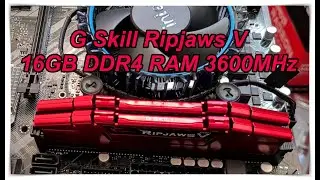 G Skill Ripjaws V 16GB DDR4 RAM 3600MHz 2 Modules 2x8GB