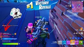 DREAMY COAST CAT SOLO vs SQUAD CLUTCH GAMEPLAY ( NEW! Chapter 7 )