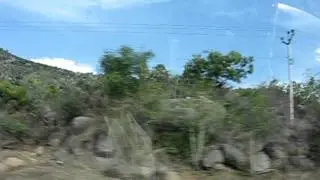 Palani Drive