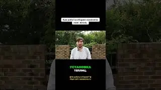 Как работа в Корее изменила мою жизнь #workinkorea #korea #работавкорее #корея