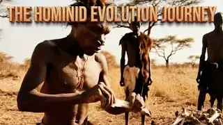From Scavenger to Master Hunter  The Hominid Evolution Journey