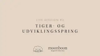 LIVE SESSION OM TIGERSPRING - Moonboon