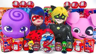 Miraculous Ladybug Toys Collection ASMR Unboxing Review | Miraculous Ladybug & Cat Noir & Nooroo