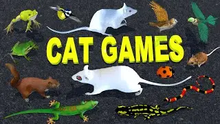 Lizard for Cats to Watch | Cat Games for Cats | Ultimate Cat TV Compilation | 4K