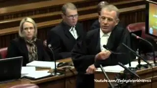 Pistorius 'tormented' by picture after gun video shown
