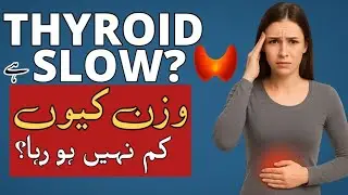 Thyroid Slow? Why Weight Stop losing | 5 Hidden Reasons (Urdu/Hindi)