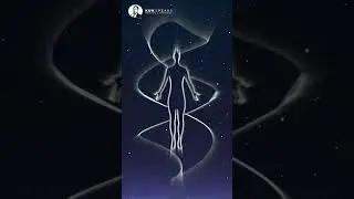 Why You Feel 
