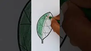 How To Draw A Leaf || Beautiful leaf Drawing #leaf