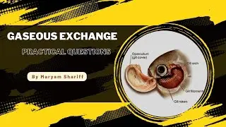 From Gills to Leaves: Exploring Gaseous Exchange in Fish & Plants I Paper Three I KCSE Biology