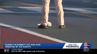 Man accused of Everett hit-and-run crash arrested by ICE agents