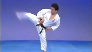 №2-2-3 Keri (Kicks) Geri Kyokushin Karate Encycklopedia Киокушин каратэ Энциклопедия