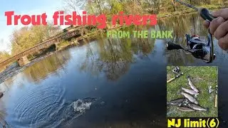 Trout fishing during spring stocking in New Jersey (mid-season) Limit out ! Artificial bait only