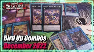 Yu-Gi-Oh! Lyrilusc Tri-Brigade Combos You NEED to Know Post December 2022 Forbidden & Limited List!
