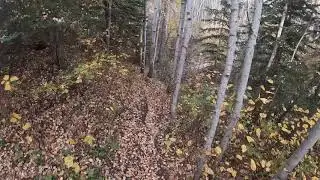 2019 yz 450 fx single track