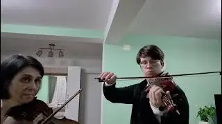 Stana Beniamin, Sectiunea Amatori - Hobby clasa a VII-a