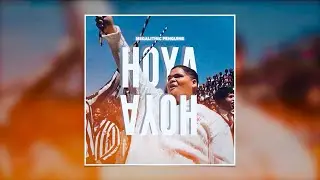 Megalithic Penguins - HOYA HOYA (Official Audio Video)