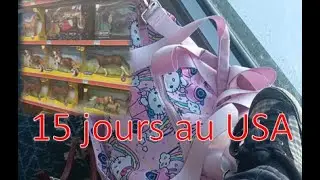J'ai ramené des breyer des Etats Unis