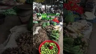 Top 10 Places to Visit in Nagaland #nagaland #nagalandtourism #ytshorts