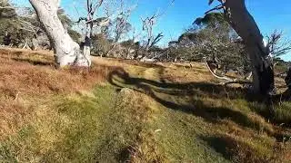 AAWT Hotham to Thredbo