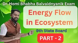 | Energy Flow in Ecosystem Part 2| Class 9 Biology | Full Concept in 10 Minutes