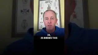 3M Open 2025 | Betting + DFS Strategy | The Golf Pro Betting Show