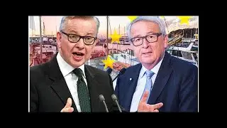 Brexit betrayal: brussels to force britain to abide by eu fishing quotas during transition
