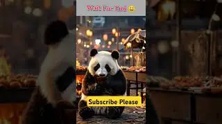 🐼 Panda need money #cartoonpanda #panda #pandemia