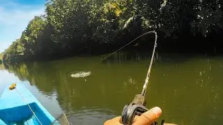 Day 1: Hunting a 1-Meter Barramundi in the Philippines! (Epic Start!) #barramundi #mancingsiakap 