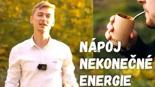 Co je to Yerba Mate?