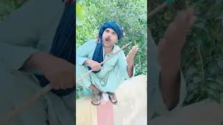 asan Jo dilyon