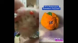 80s Toy Throwback: Popples 