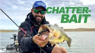 La PESCA con CHATTERBAIT - ¡TODO LO QUE TIENES QUE SABER!