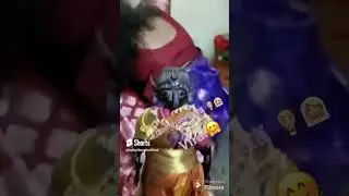 Bommala Pelli 👰🏼&zwj;♀️🤵🏼&zwj;♂️#viral #shortvideo #love #subscribe