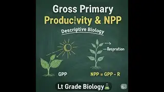 Gross Primary Productivity & NPP | Descriptive Biology | Lt Grade Biology